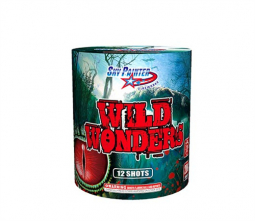 HAPPY WILD WONDERS- CASE 12/1